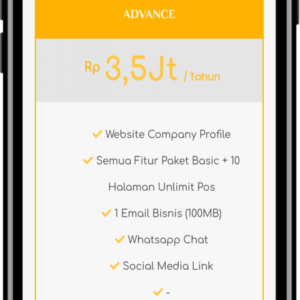 PAKET WEBSITE ADVANCE